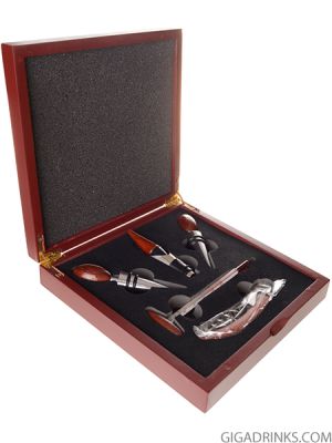 Accessories for wine 5 tools