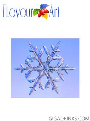 Menthol Artic - Концентрат за ароматизиране 10ml.