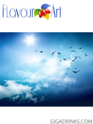 Hypnotic Myst - Концентрат за ароматизиране 10ml.